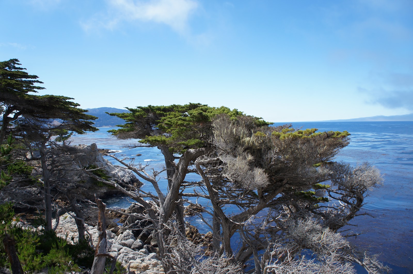 USA Westküste 2012: 17-Mile Drive - Route 1 - 30.06.