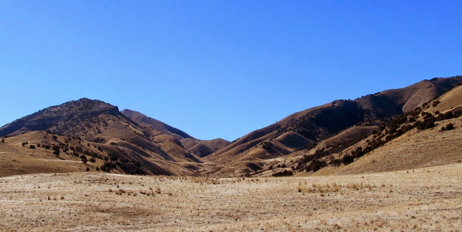 Janie and Steve, Utah Trails Hastings Peak