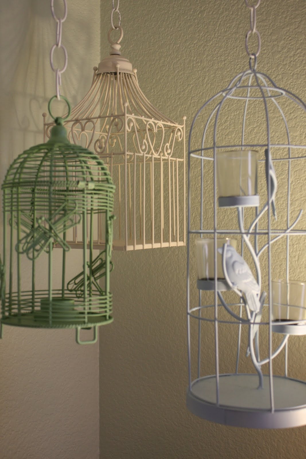 Bird In Everything Types Of Bird Cages Bird In Everything Types Of Bird Cages