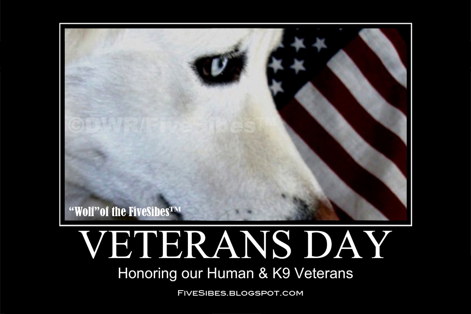 3*13*13 K9 Veterans Day We Salute Our K9 Heroes, the United States