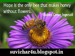 Hope is the only bee that makes...