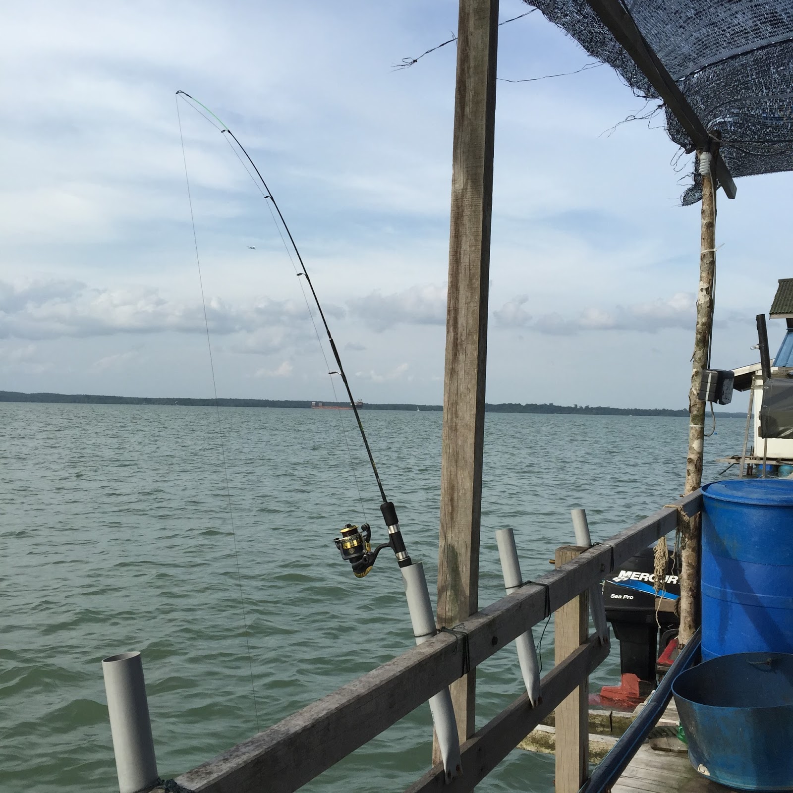 Kong Kong Fishing Trip Blog, Johor Bahru Day Fishing Trip