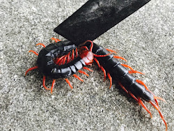 fuckin couldn ugly lucky catch almost fast outside him guy found very
