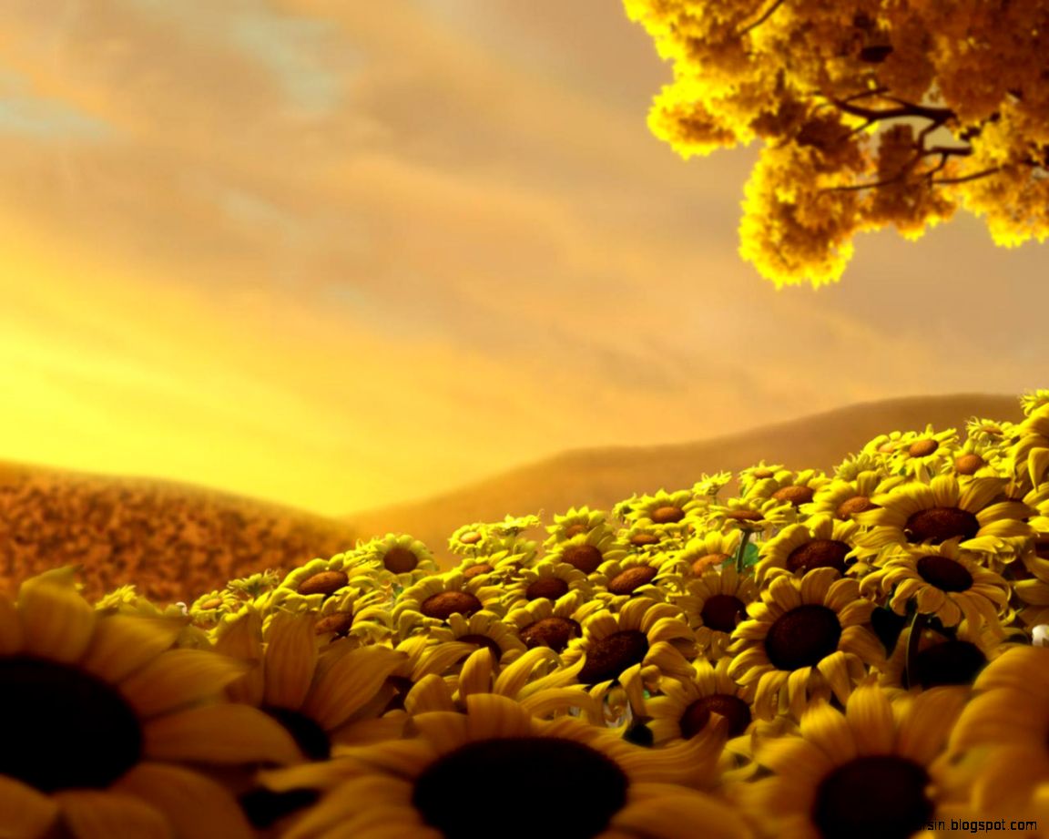 sunflowers meadow digital 3d