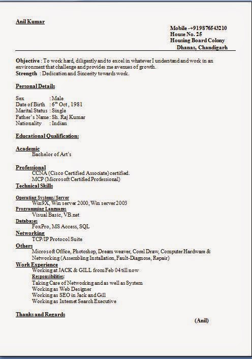 it professional resume sample