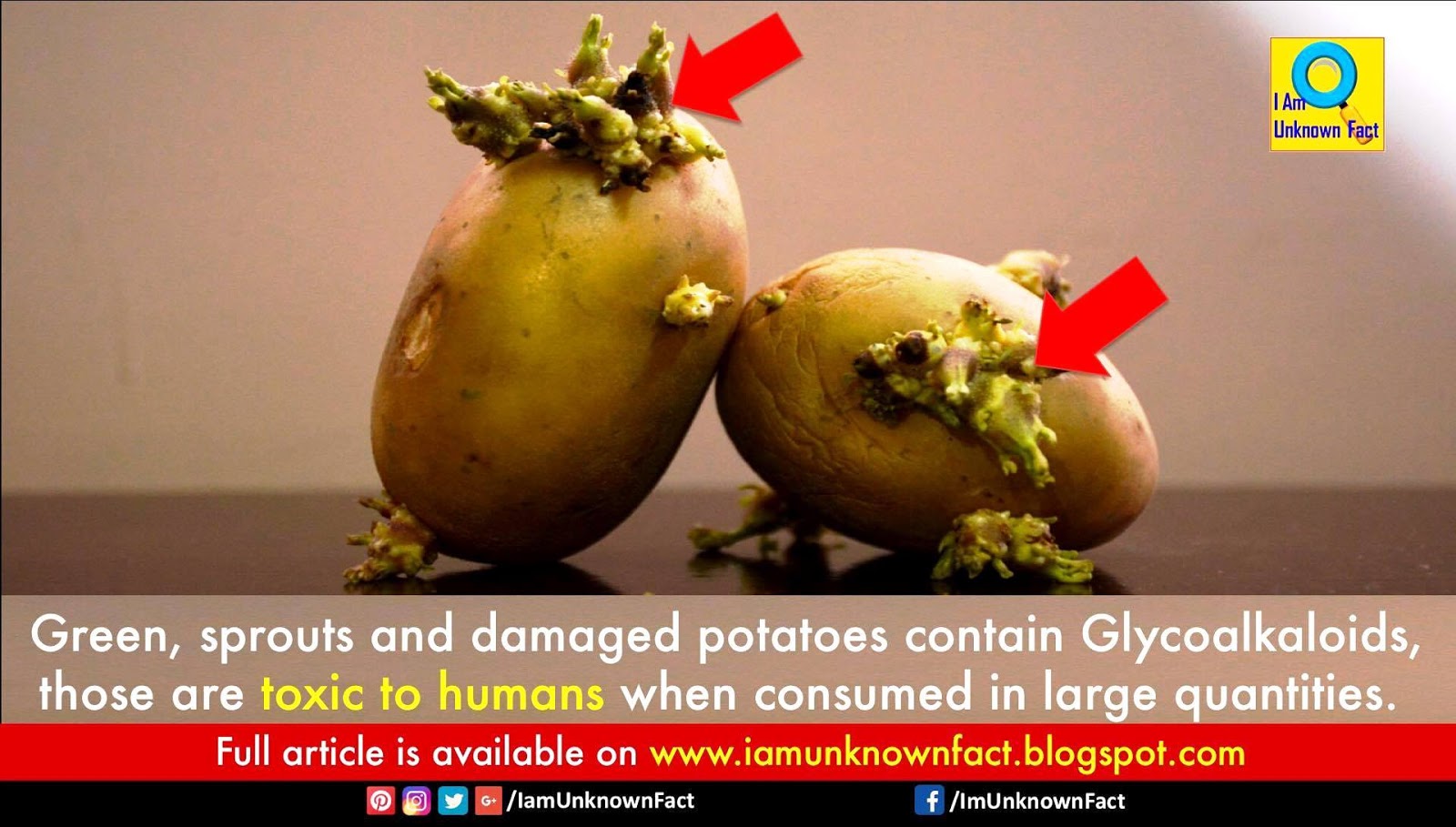 Toxic Glycoalkaloids In Potatoes Are Green And Sprouting Potatoes
