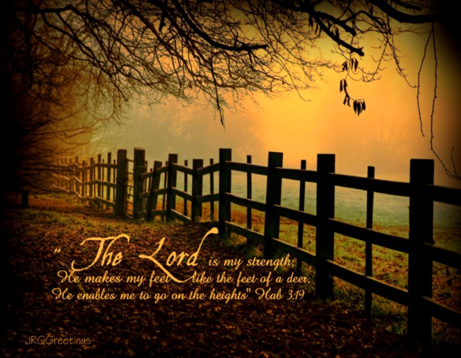 Thanksgiving Screensavers on Pinterest  Thanksgiving Wallpapers