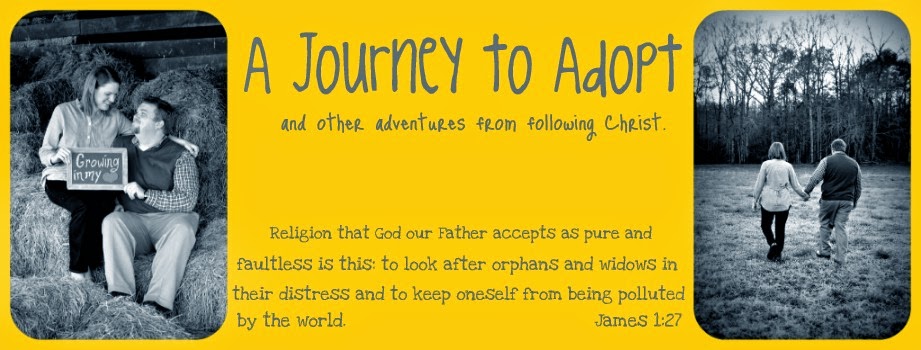A Journey to Adopt