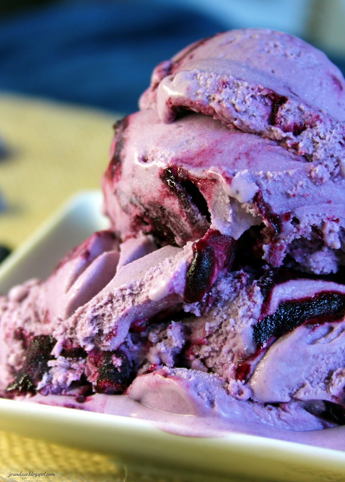 Jo and Sue Blueberry Ice Cream