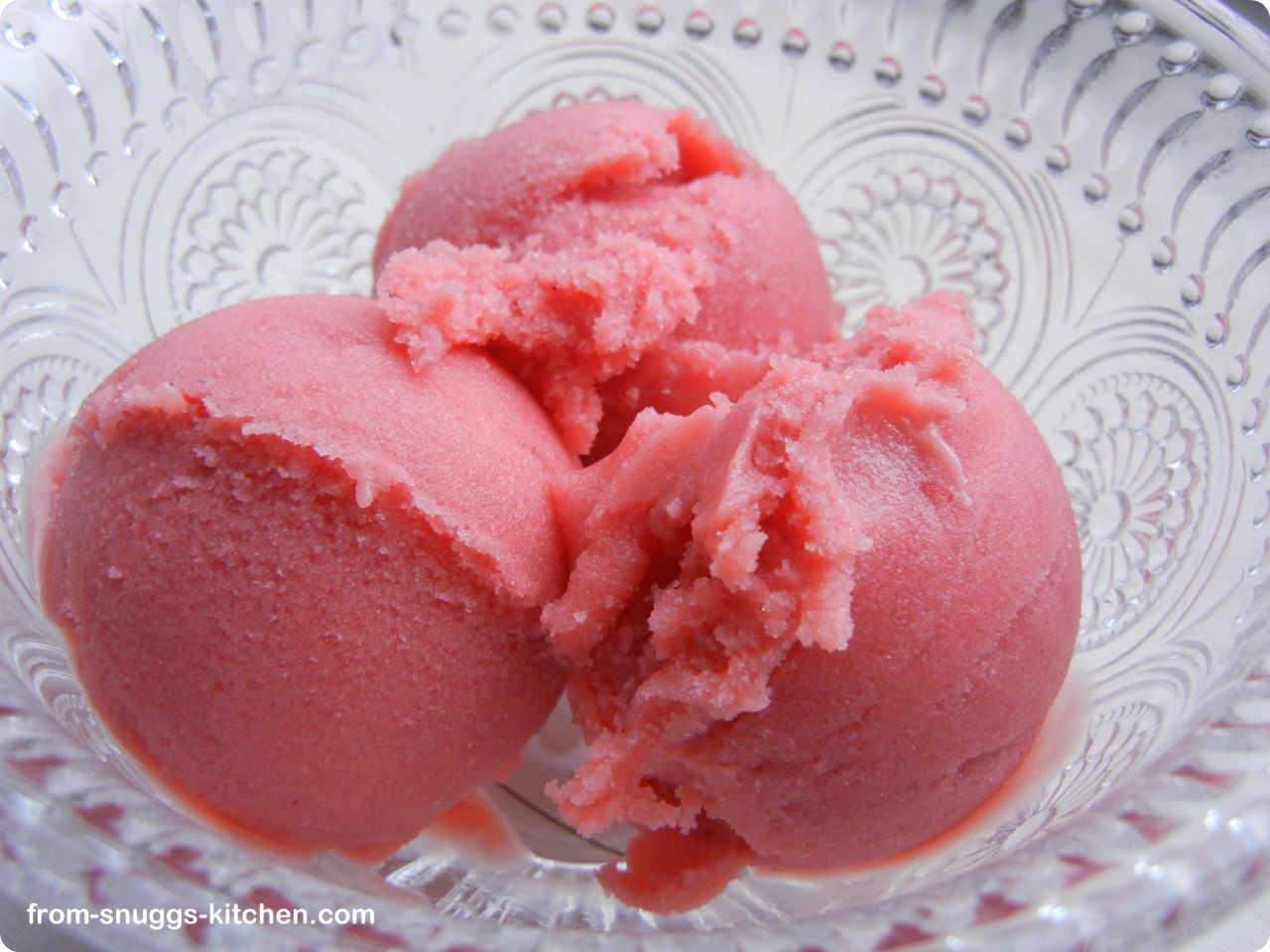Erdbeer-Rhabarber-Joghurt-Eis - From-Snuggs-Kitchen