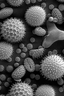 iphone wallpaper background