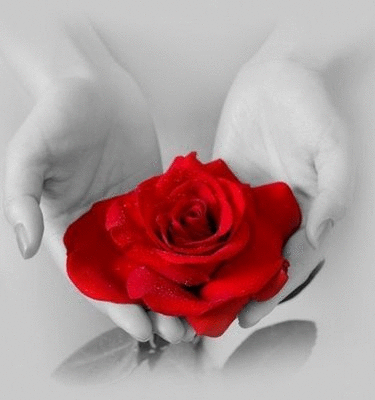 flor%2Boferecimento.gif