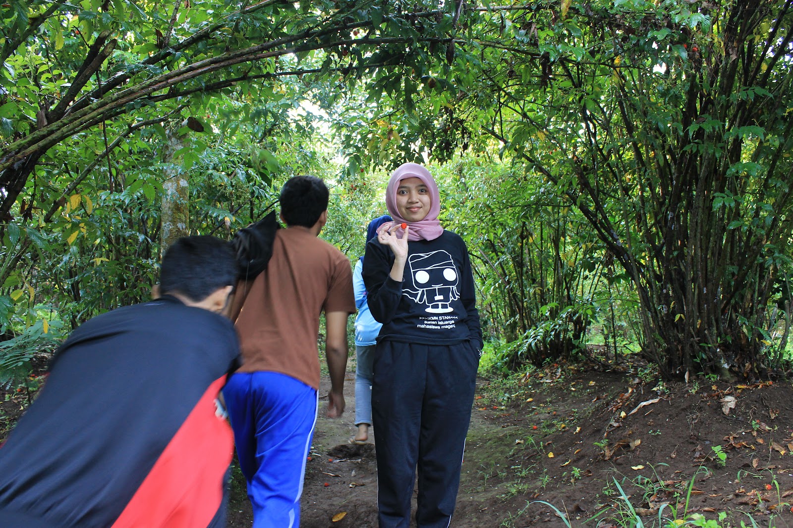Indonesia Tourism Object: Kebun Raspberry