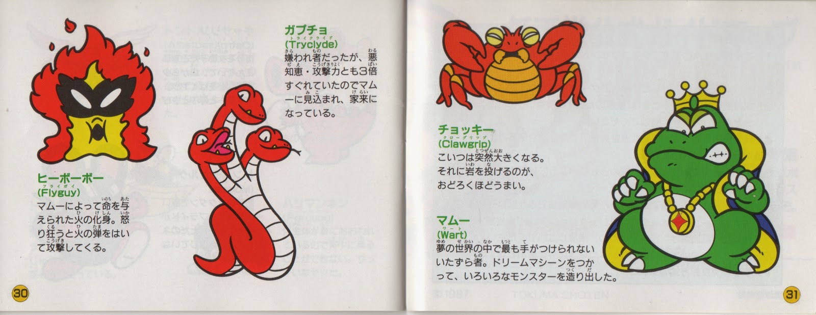Video Game Related Translations: Super Mario USA Manual