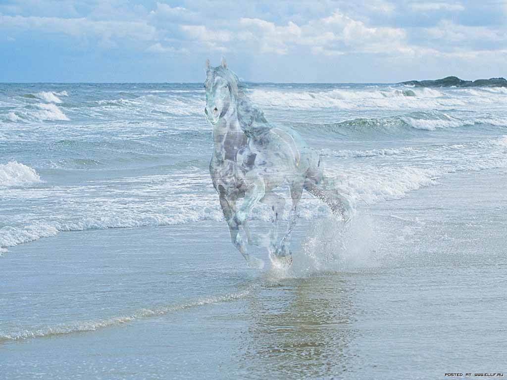 Годы как вода бегут. Конь из воды. Удивительная вода. Чудо вода. Вода фото.