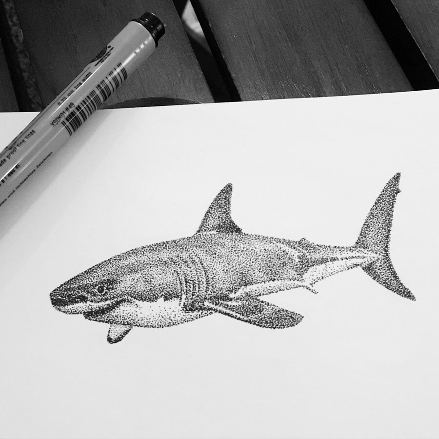 12-Great-White-Shark-María-Lecanda-www-designstack-co