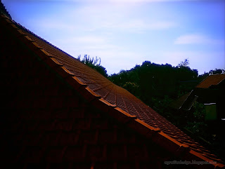Perspective View Roof Tiles Of The House At Sulanyah Village, Seririt, North Bali, Indonesia