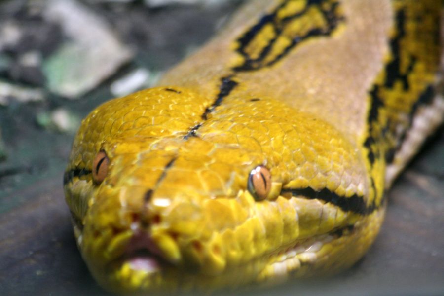 All the Pretty Things Focus on Life Week 28 Patterns