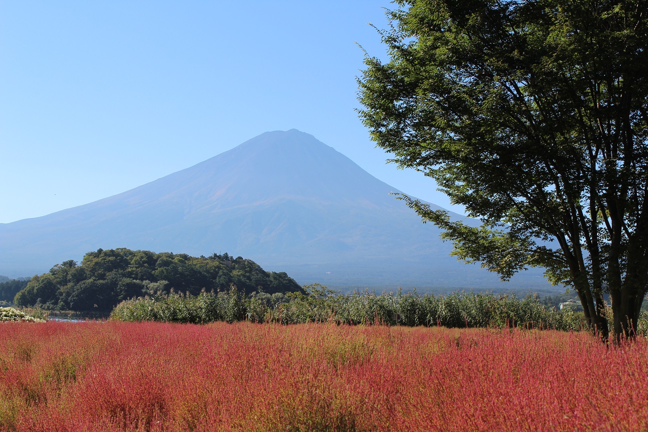 Gambar Traveling Jalan Gunung Fuji Gambar Fujiyama Di Rebanas