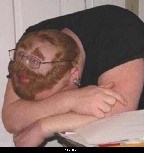 New Funny Images Cool Funny Picture Laughing Image Download Free Funny Photo New Funny Images Cool Funny Picture Laughing Image Download Free Funny Photo