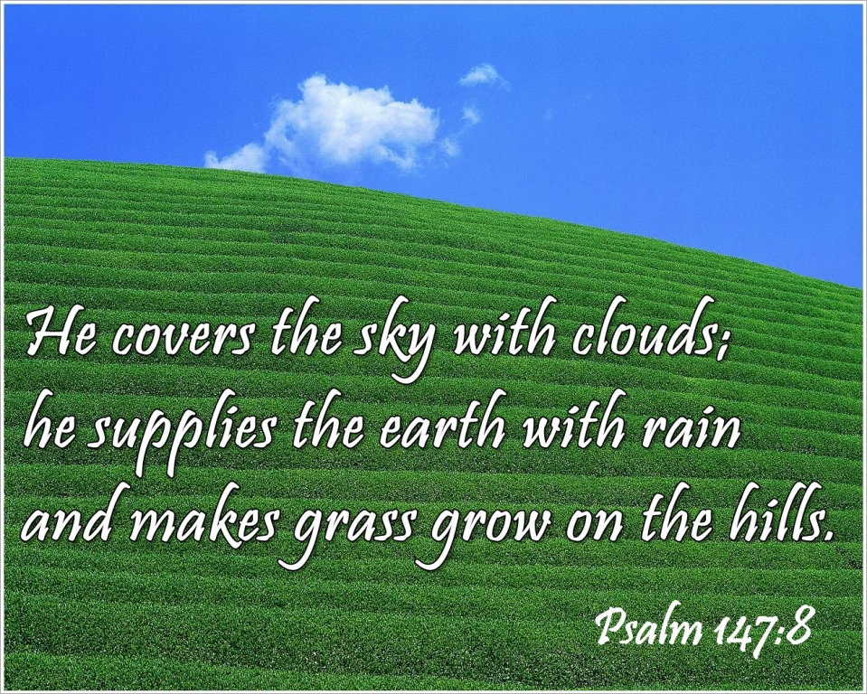 Псалом 147. Psalm 8.