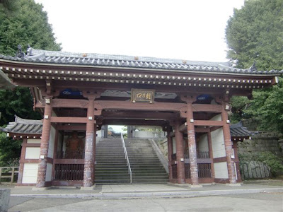 �������m����