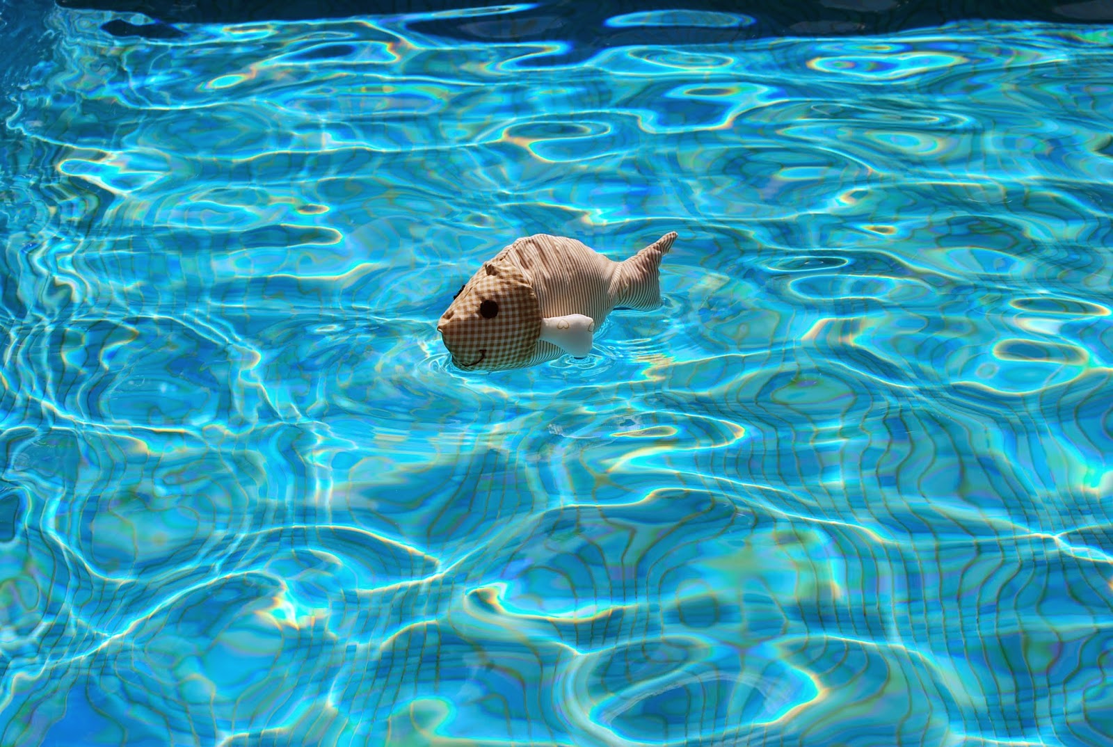 Patch and Patch Como pez en