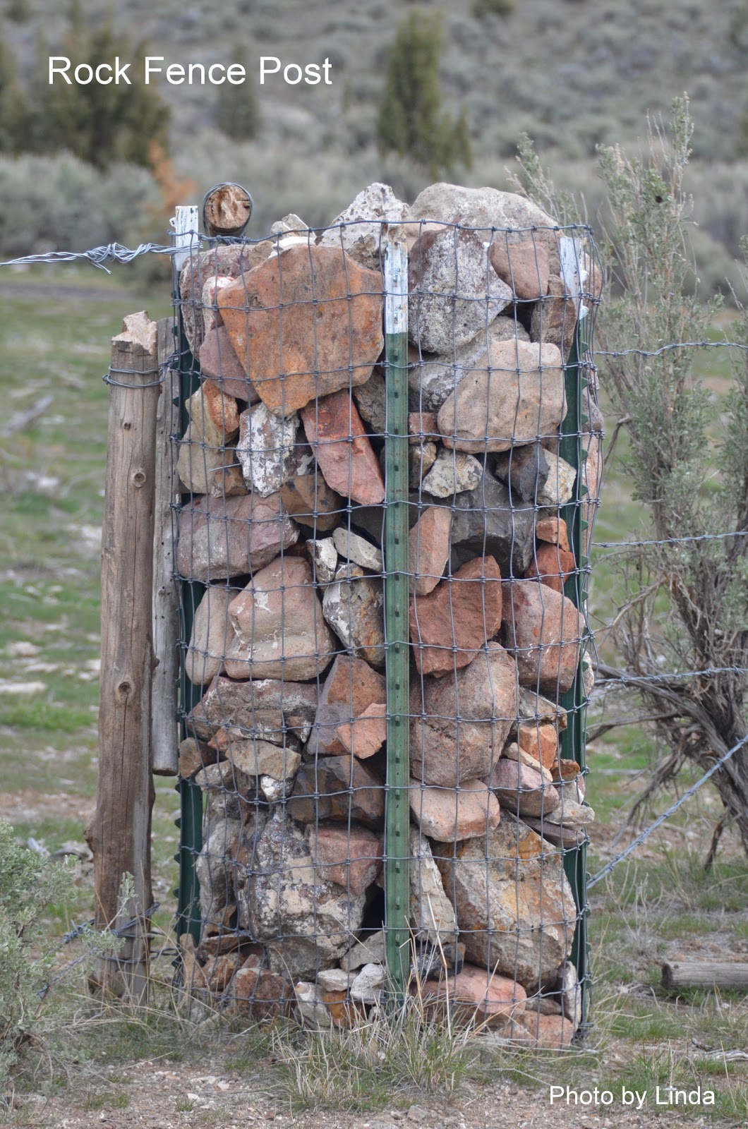 Oregon through my eyes Picking Rocks