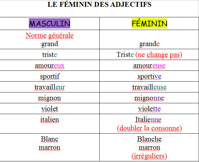 blog voor de leerlingen Frans van het derde jaar l'adjectif qualificatif (2)