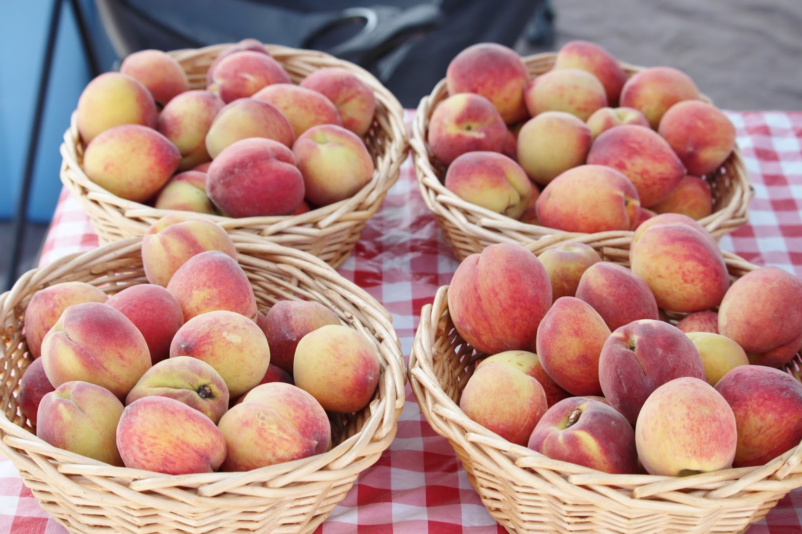 Walker Report Shedding Light on Bexar County Fredericksburg Peaches