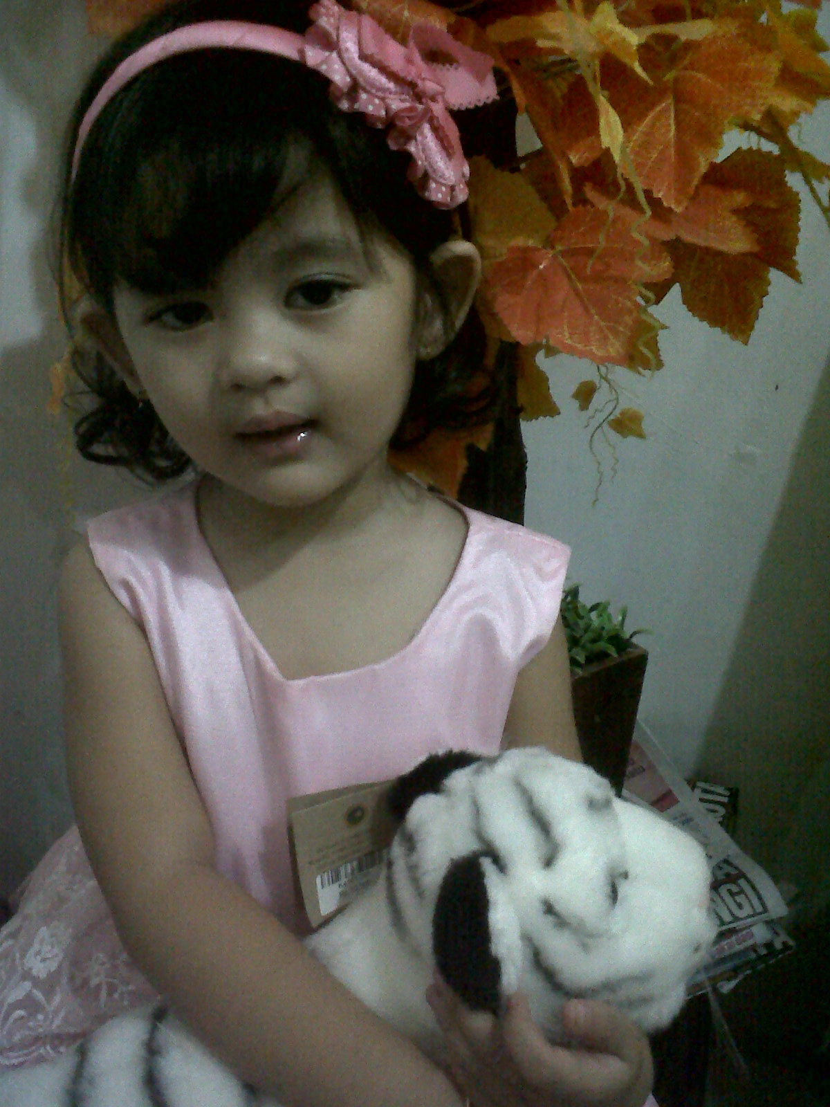 Gambar Anak Lucu Anak Lucu Terlengkap | Display Picture Update