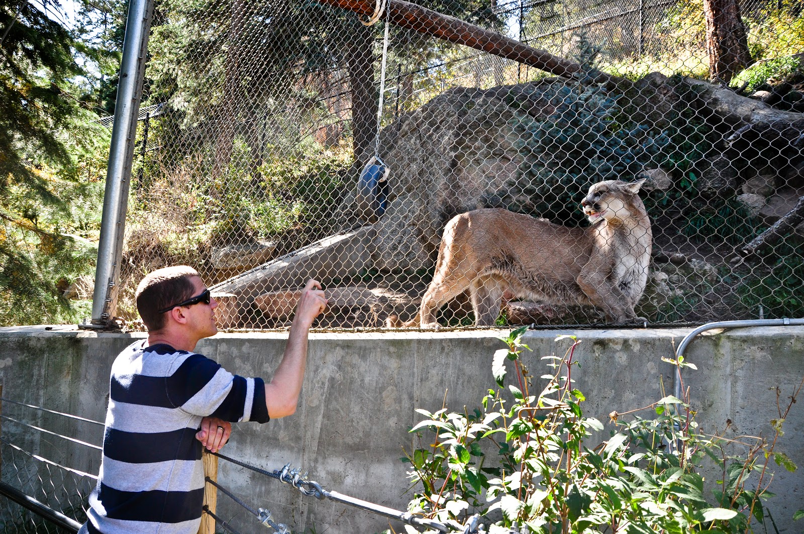 Megan Tyrka Photography Colorado Springs Zoo