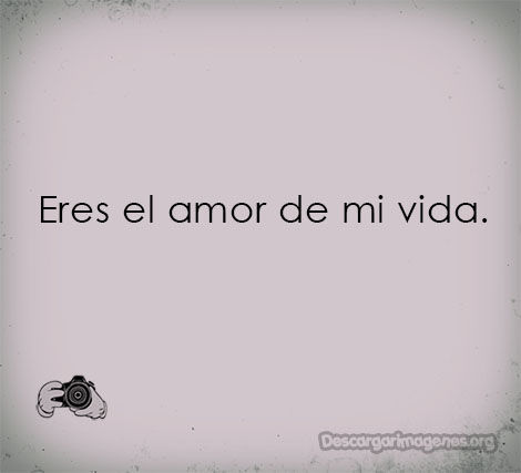 Eres el amor de mi vida.