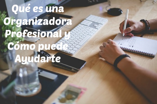 Organizadora Profesional