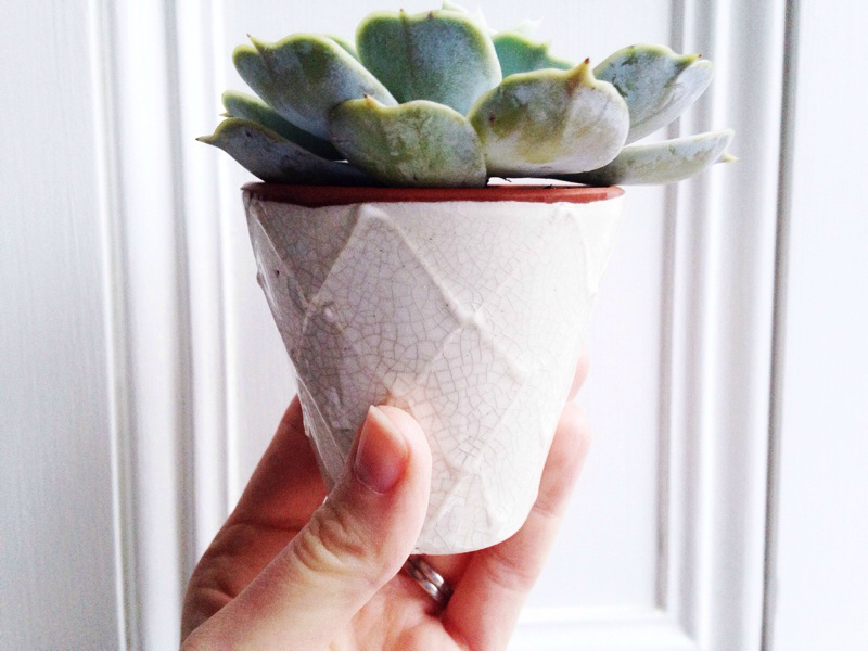 White Ceramic planter from Anthropologie