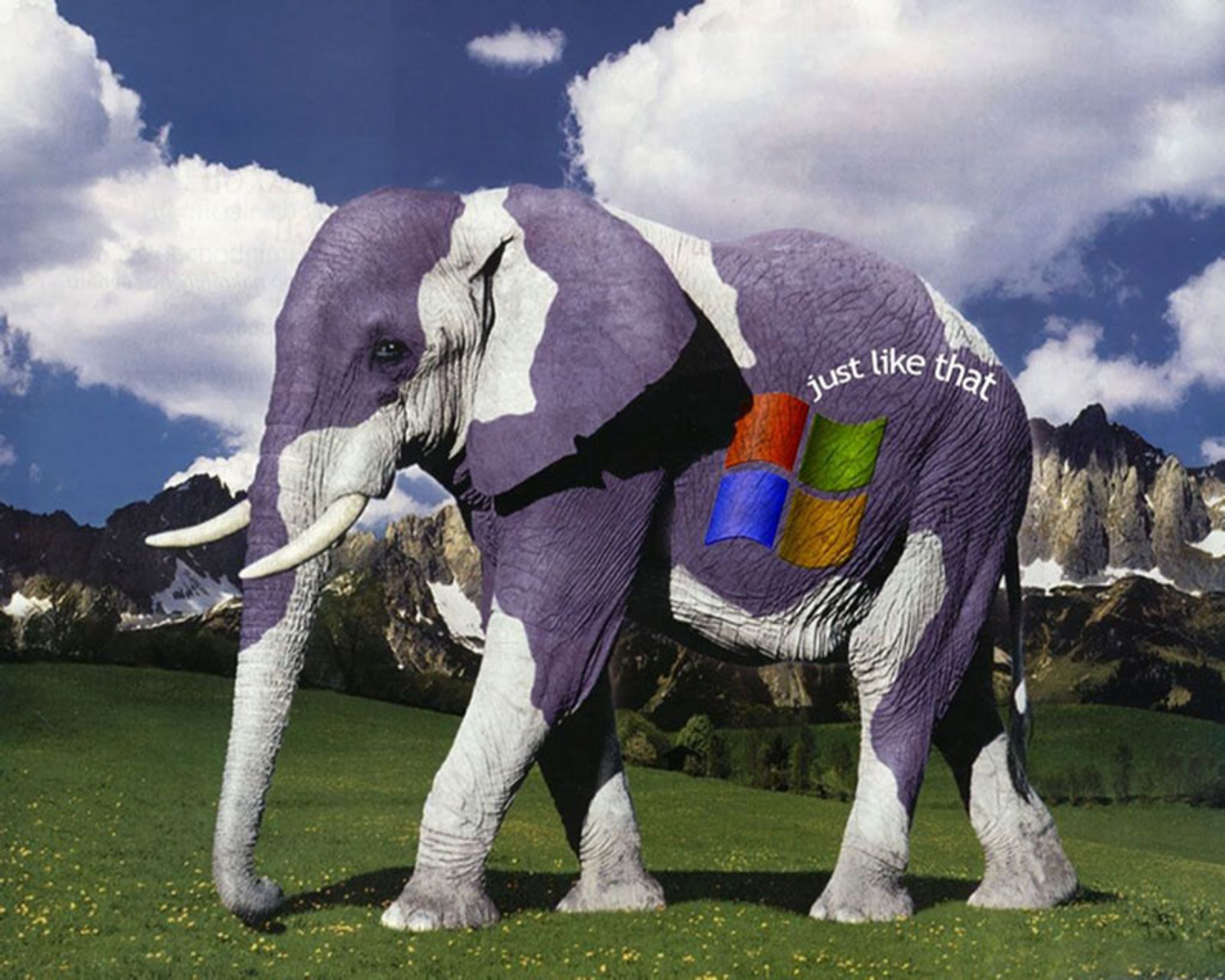 Daily Cool Pictures Gallery: 40+ Cool and Funny Microsoft Windows