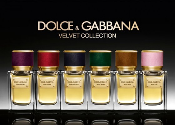 dolce and gabbana red velvet perfume