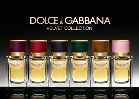Disappear Here: Dolce & Gabbana Velvet Perfume Collection launched at  harrods.