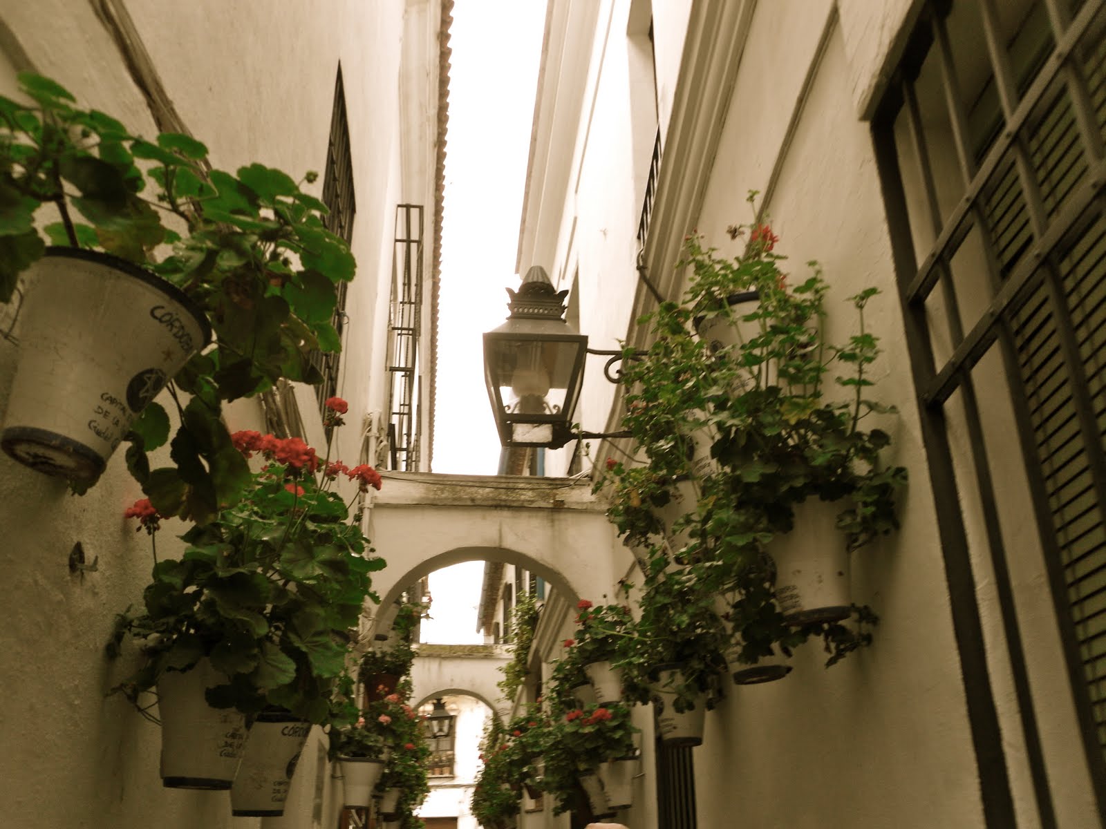 Spain Trip to Córdoba and Sevilla! Friday, March 11th