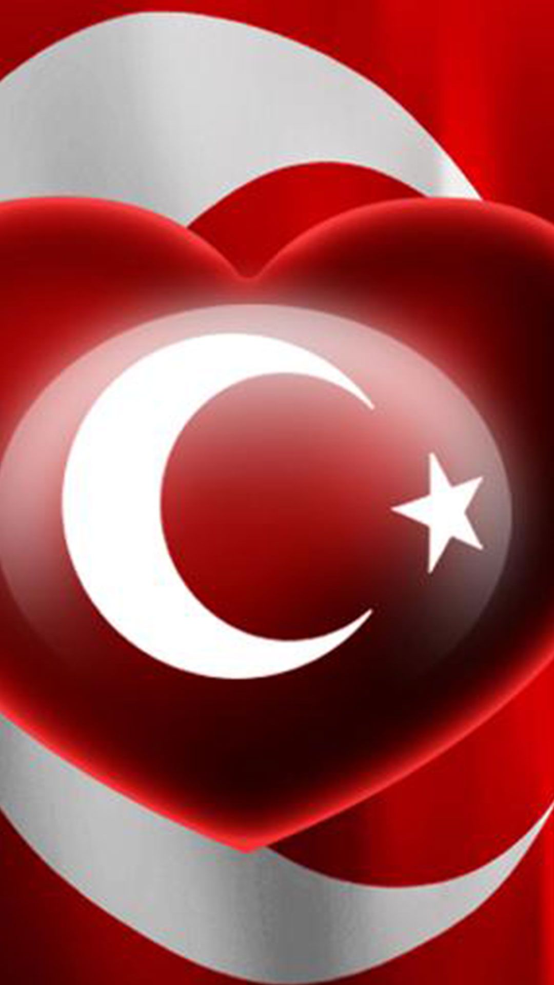 Kalpli turk bayragi 8