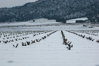 Pié Franco Monastrell 