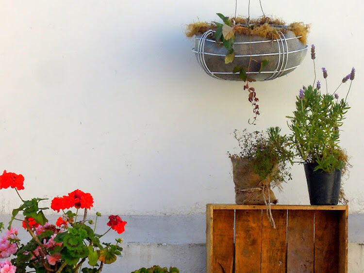 diy macetero colgante