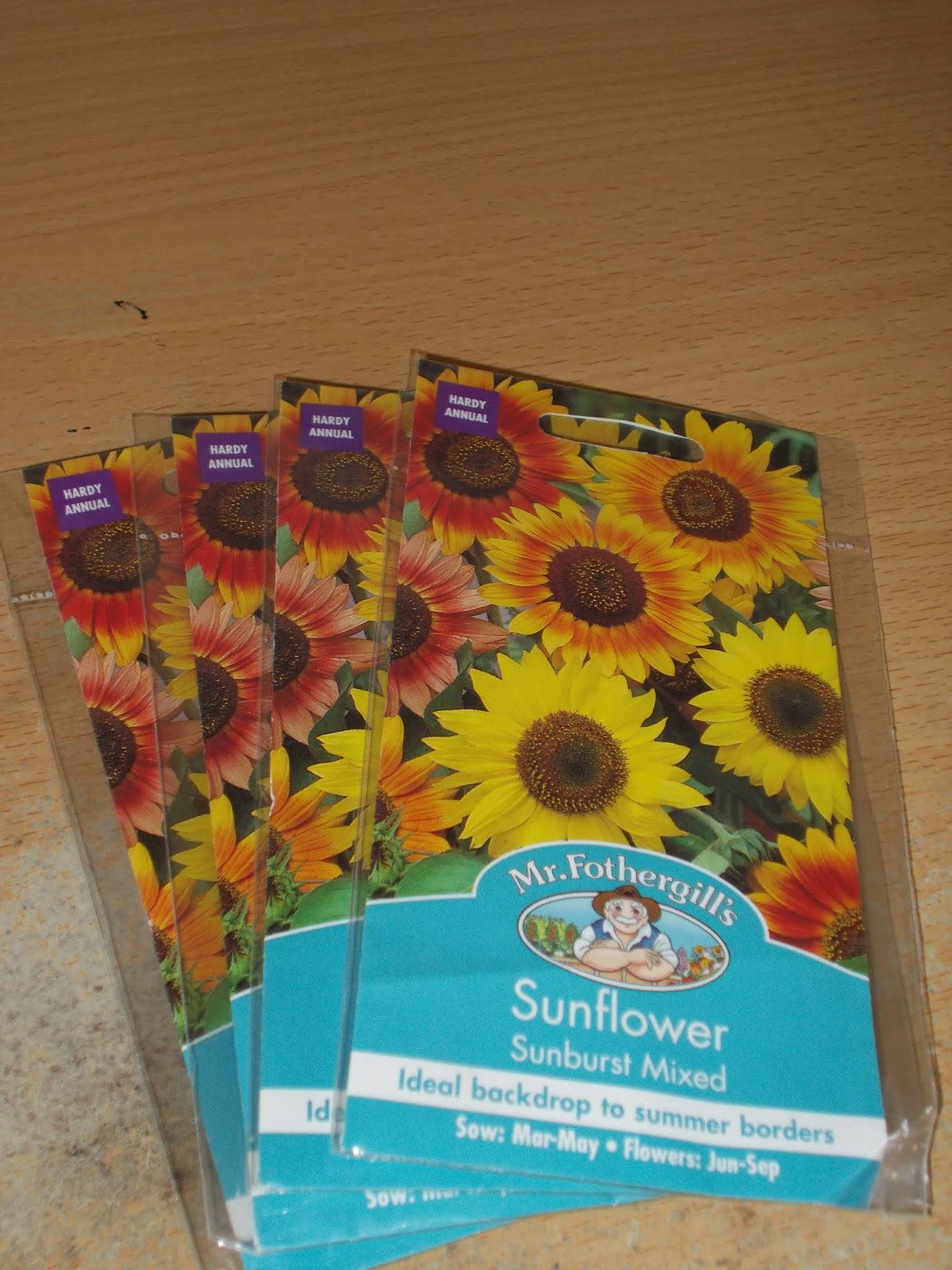 jual benih/bibit bunga matahari sunflower sunburst mixed