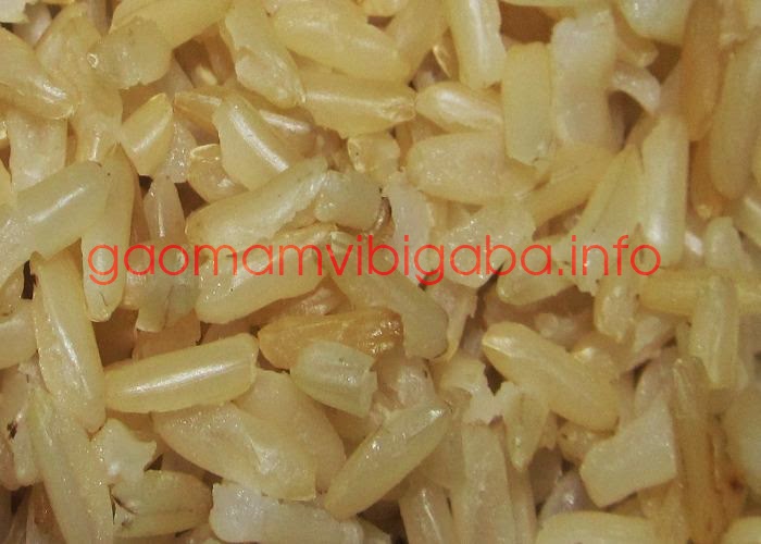 gạo mầm vibigaba ăn mềm cơm, ngon hơn gạo lứt gao-mam-vibigaba-de-an-hon-gao-lut-muoi-me