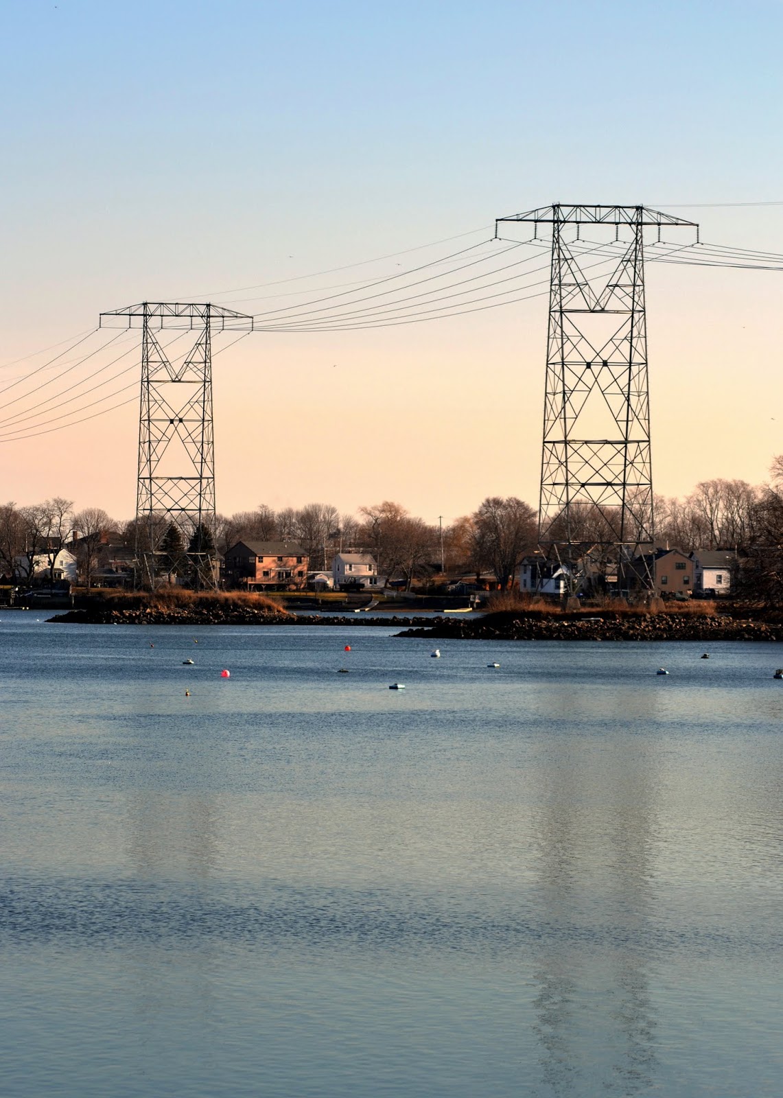 Crazy as a Cool Fox Electric Sky