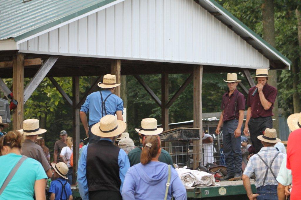 Valley Girl Views The Beaver Run (Amish Run) Consignment Auction