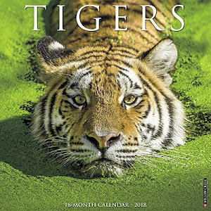 Tigers 2018 Calendar