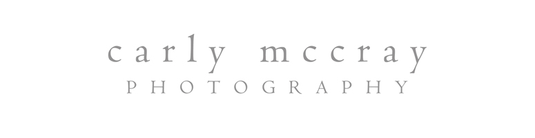 Carly McCray Photography Blog // Milwaukee + Madison Wisconsin Wedding Photographer