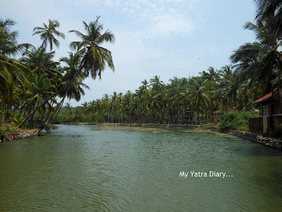 Postcard from Kerala - God's own country