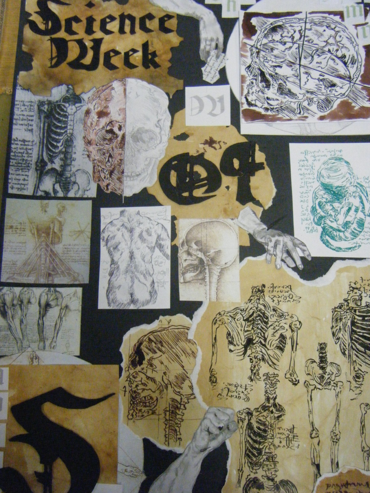 Leaving Cert Art College of Commerce Craft Exam Poster Examples